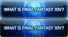 WHAT IS FINAL FANTASY XIV？